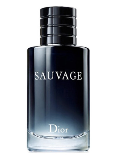 عطر دیور ساواج شرکت لوزی سوئیس Dior Sauvage 1 عطر دیور ساواج شرکت لوزی