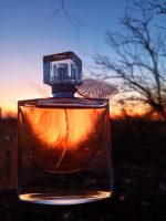 لاویه بل Hi لوزی سوئیس