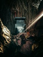 ادکلن oud wood Tom Ford